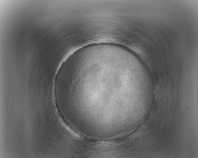 X0000067391374200604071742