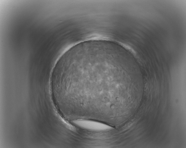 X0000067391375200604071742