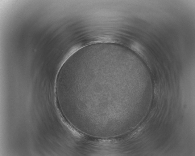 X0000067391378200604071742