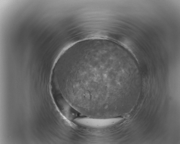 X0000067391379200604071742