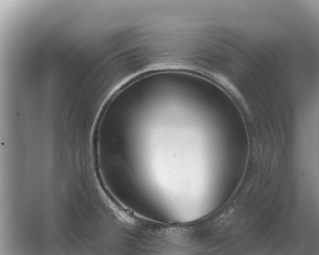 X0000067391380200604071742