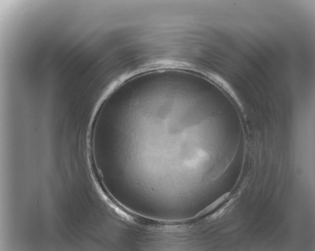 X0000067391381200604071742