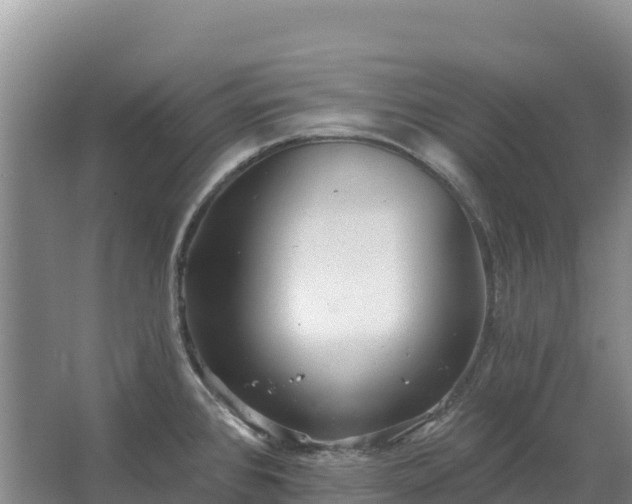 X0000067391384200604071742