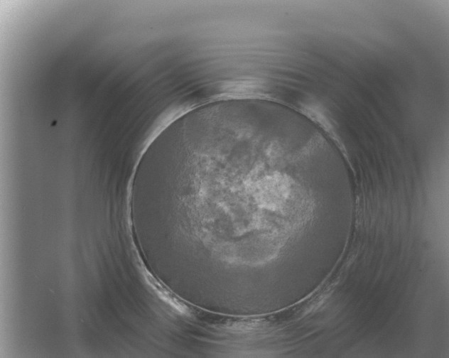 X0000067391386200604071742