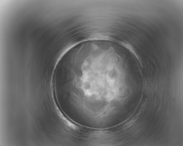 X0000067391387200604071742