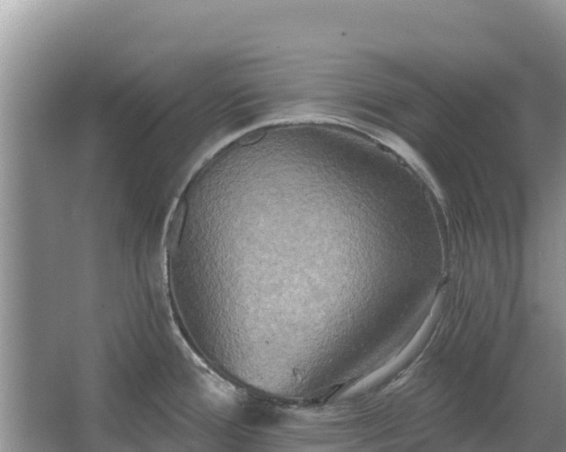 X0000067391388200604071742