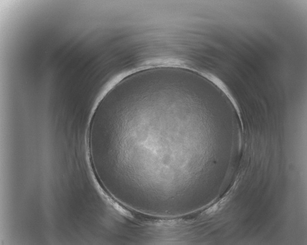 X0000067391389200604071742