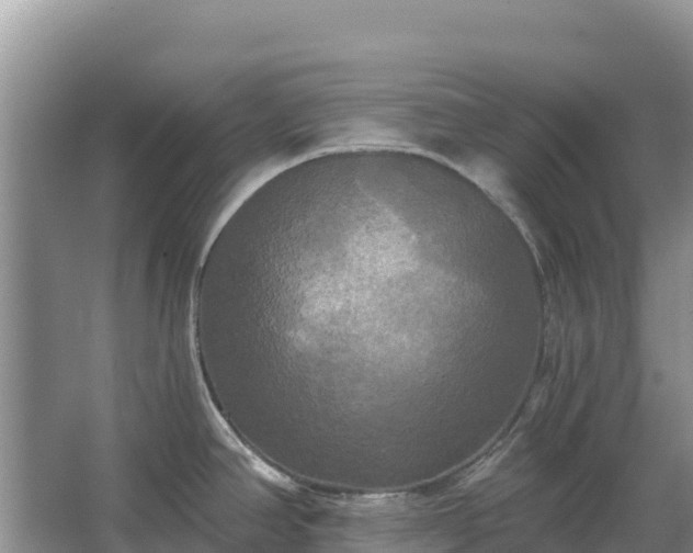 X0000067391390200604071742