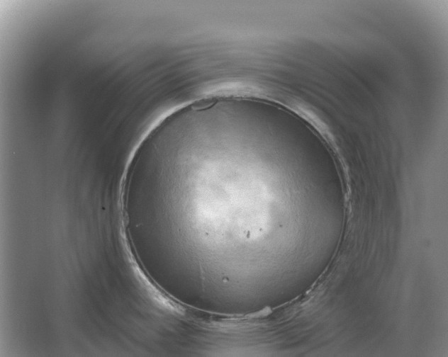 X0000067391392200604071742