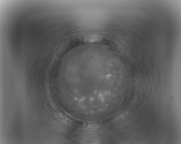 X0000067391393200604071741