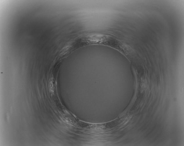 X0000067391394200604071741