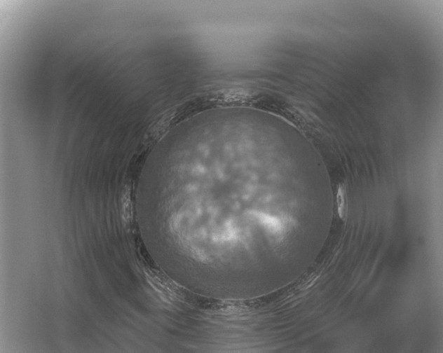 X0000067391395200604071741