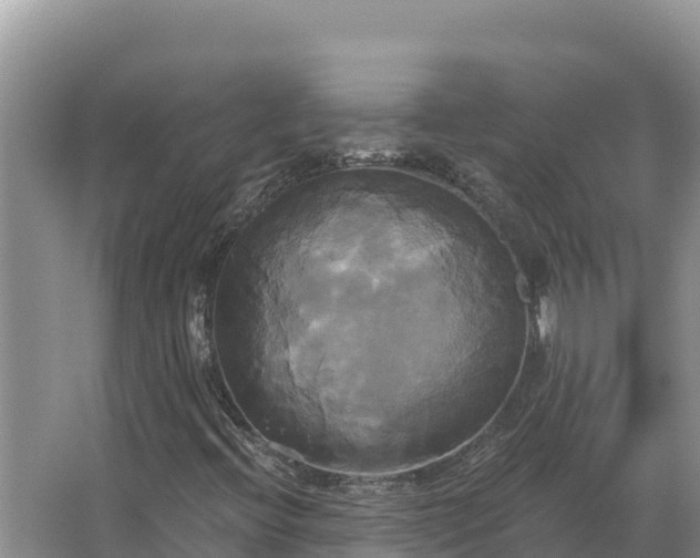 X0000067391396200604071741