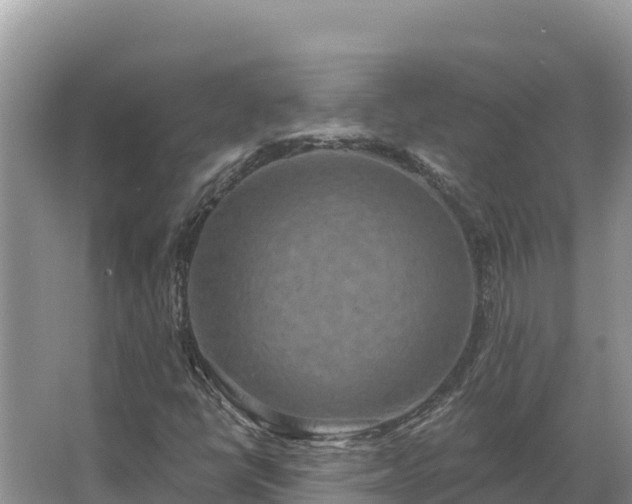 X0000067391398200604071741