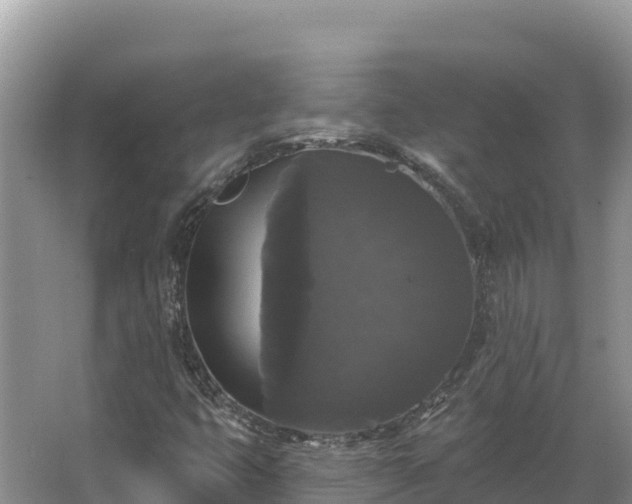 X0000067391399200604071741