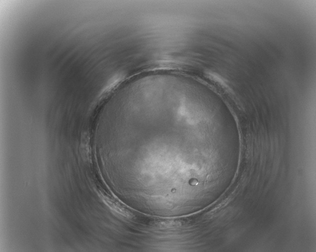 X0000067391403200604071741