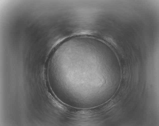 X0000067391404200604071741