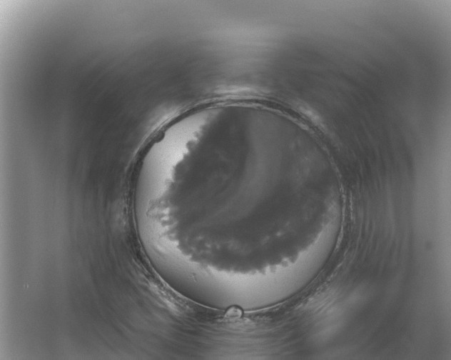 X0000067391405200604071741