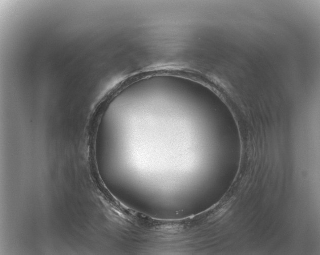 X0000067391406200604071741