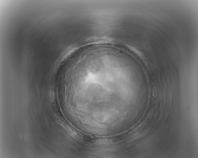 X0000067391407200604071741