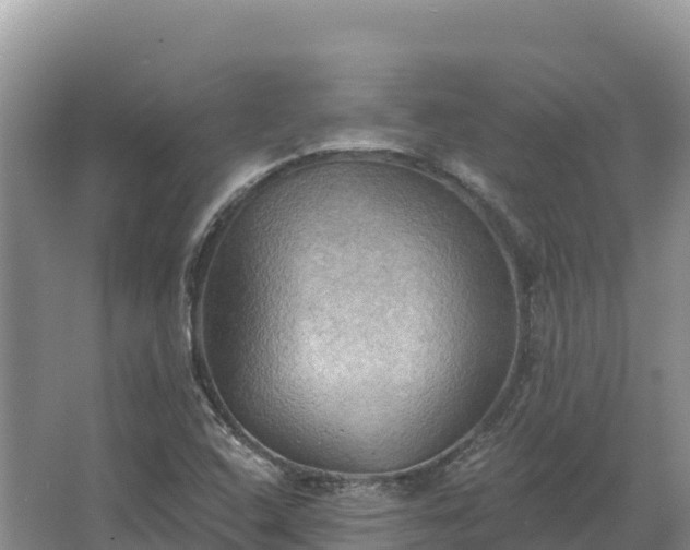 X0000067391408200604071741