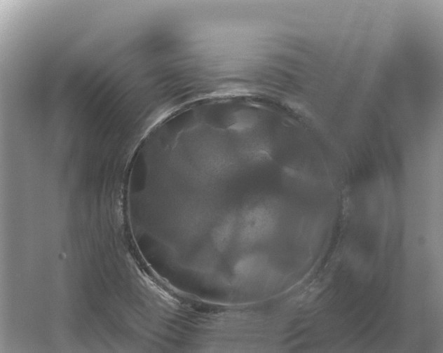 X0000067391409200604071741