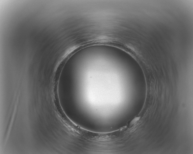 X0000067391410200604071742