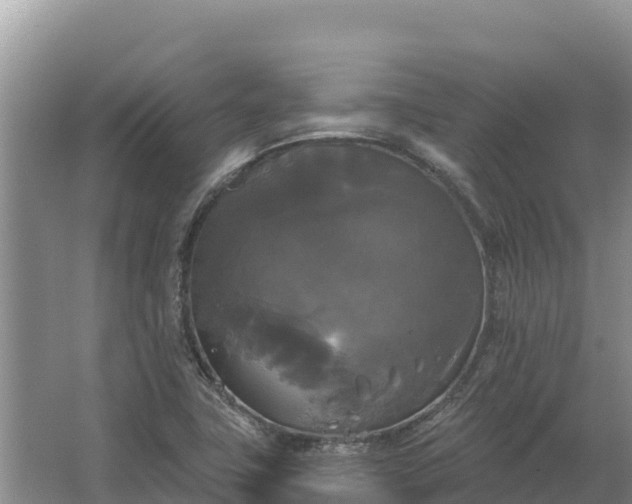 X0000067391411200604071742