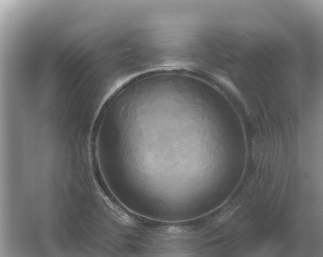 X0000067391412200604071742