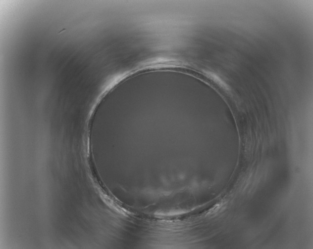 X0000067391413200604071742