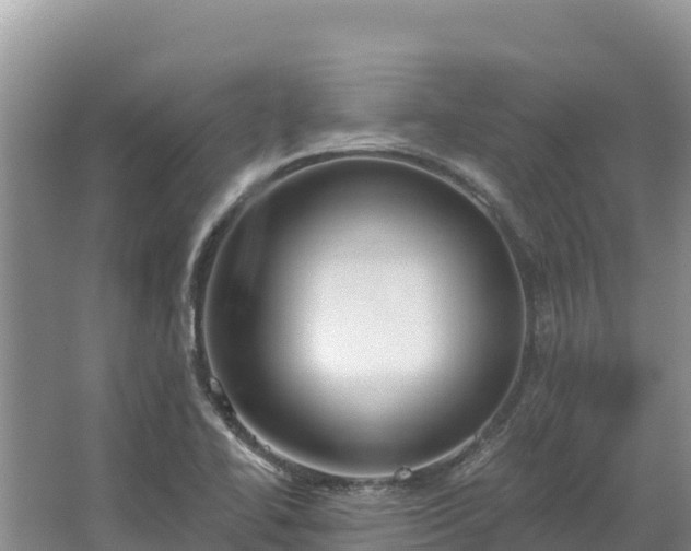 X0000067391414200604071742