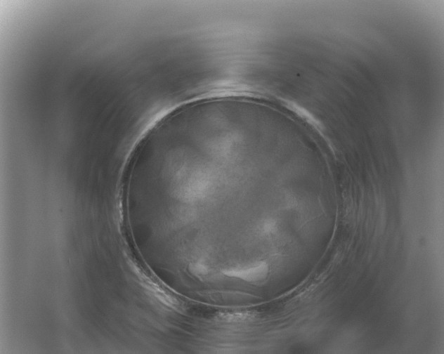 X0000067391415200604071742