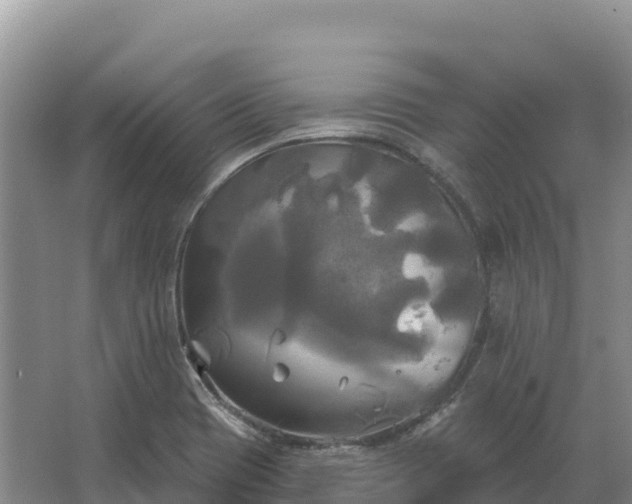 X0000067391417200604071742