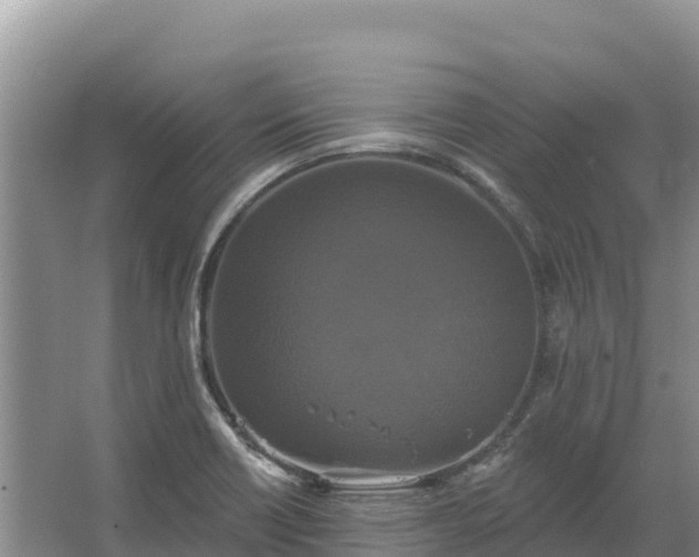 X0000067391418200604071742