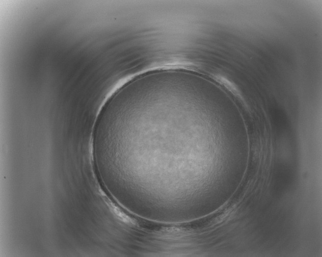 X0000067391420200604071742