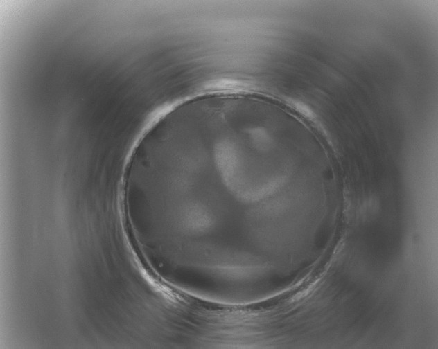 X0000067391421200604071742