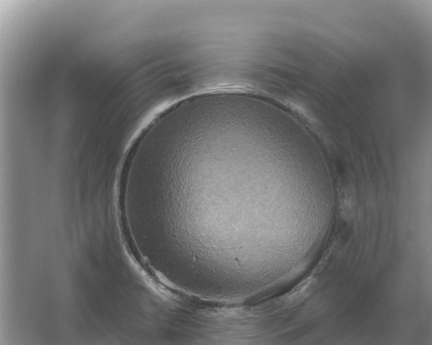 X0000067391422200604071742