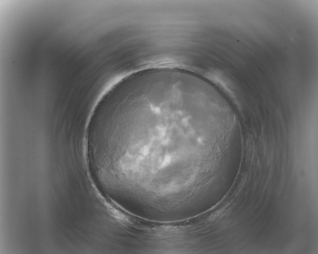 X0000067391424200604071742