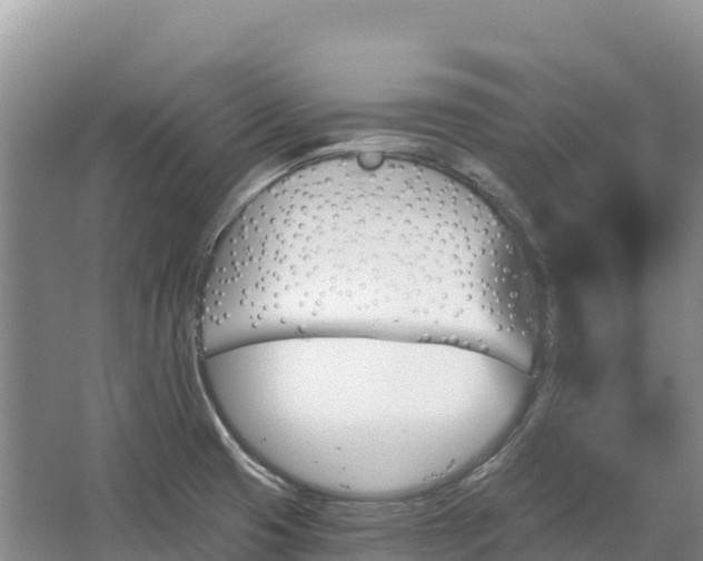 X0000067391425200604071742