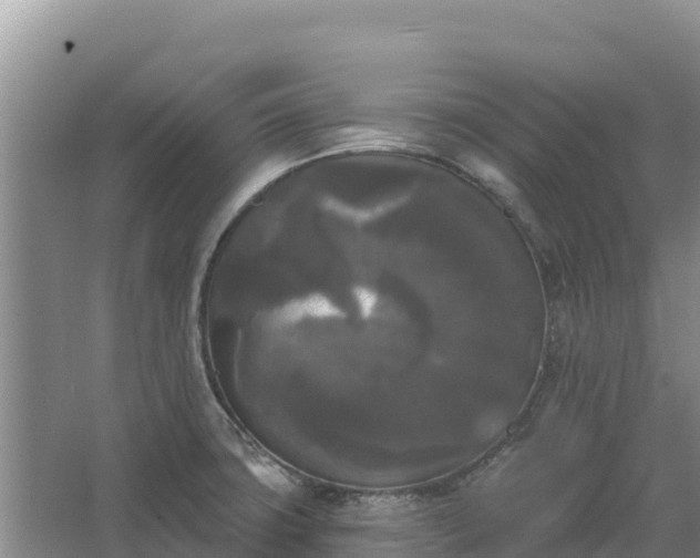 X0000067391427200604071742