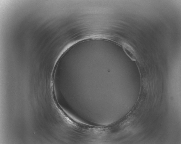 X0000067391428200604071742