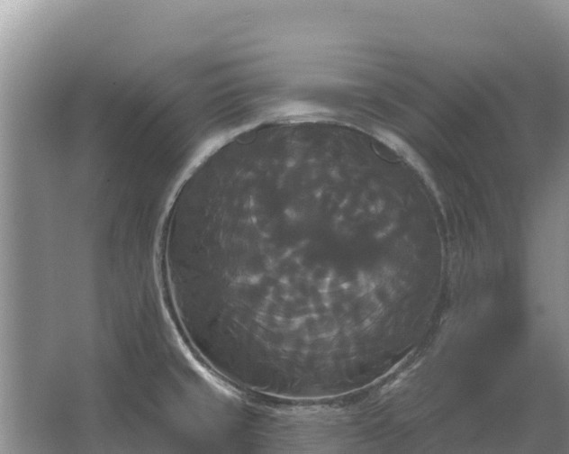 X0000067391429200604071742