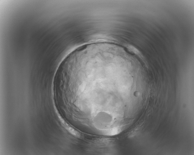 X0000067391431200604071742