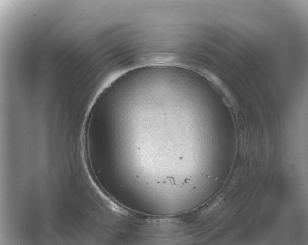 X0000067391432200604071742