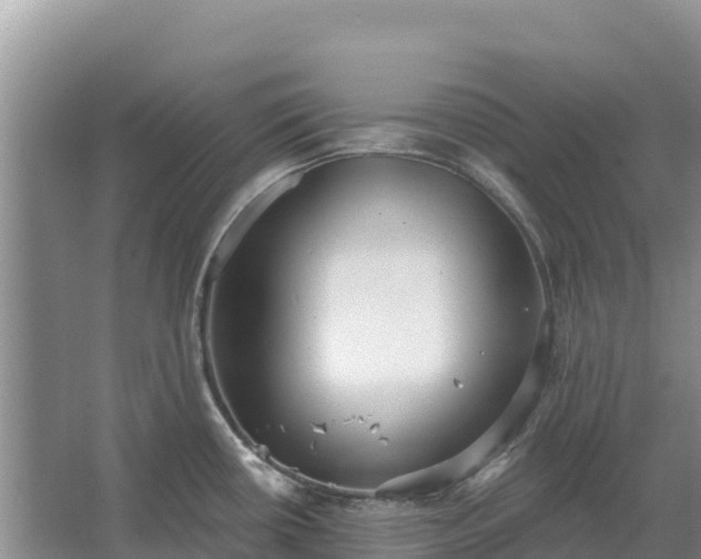 X0000067391434200604071742