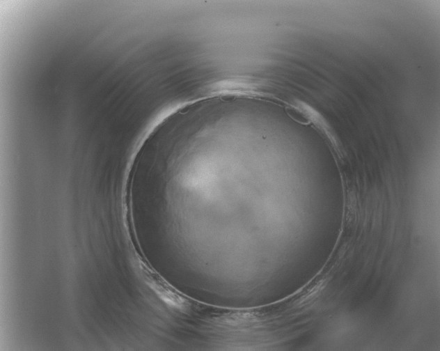 X0000067391435200604071742