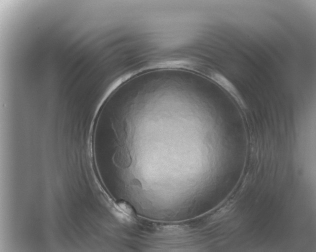 X0000067391436200604071742