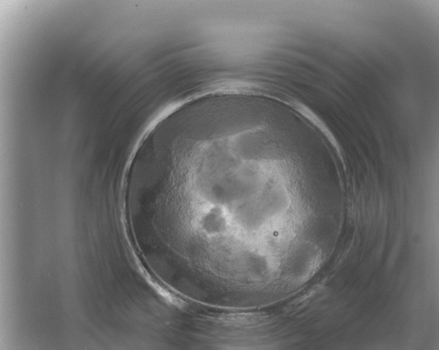 X0000067391437200604071742