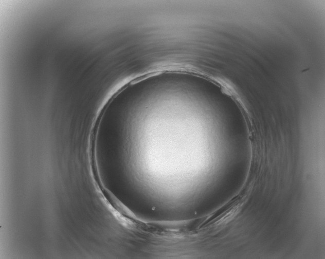 X0000067391438200604071742