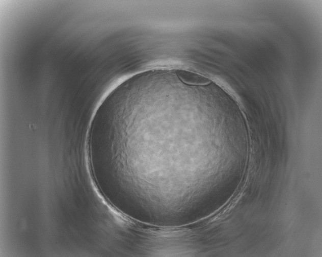 X0000067391440200604071742